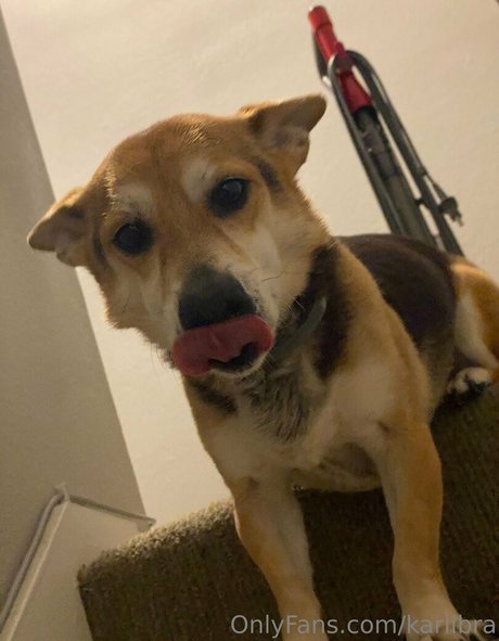 gangbang uniquement pour les fans beau sexe img