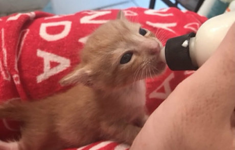 épouse amateur onlyfans beau pornographique img