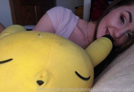 Whitney Wisconsin beau modèle collection