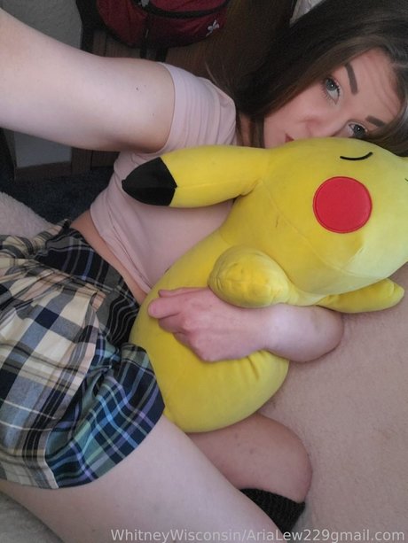 Whitney Wisconsin étoile de l'art img