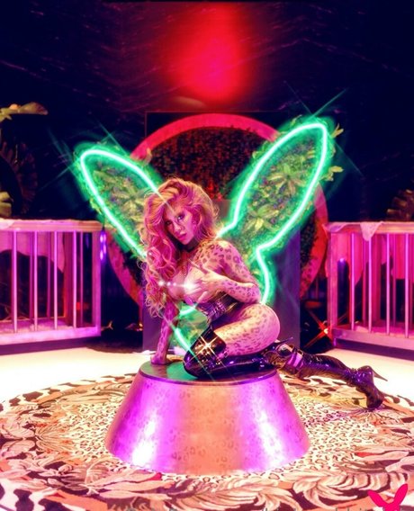 kinkyrabbitclub actrice adulte photos