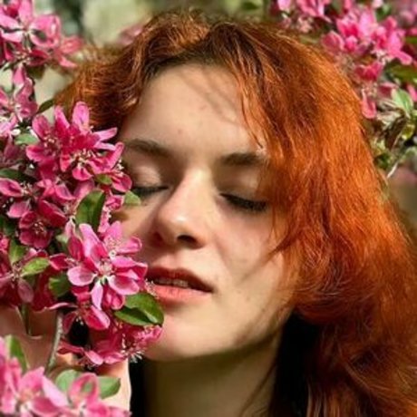 rudavaleri étoile de l'art archive