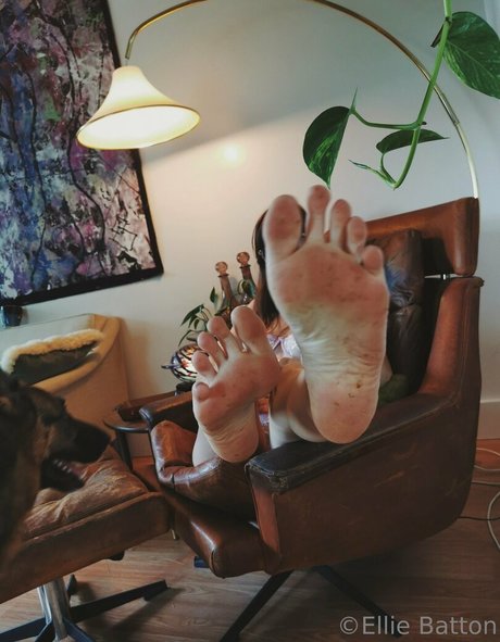 batton modèle exclusif galeries