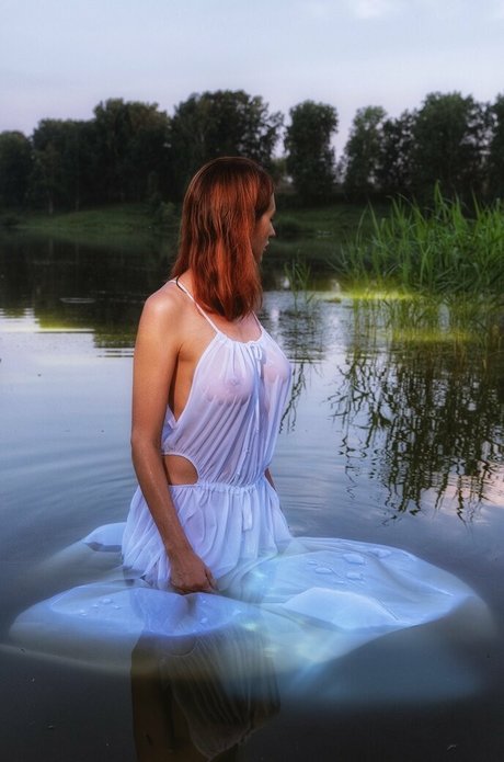 pollinared Fotoaufnahmen