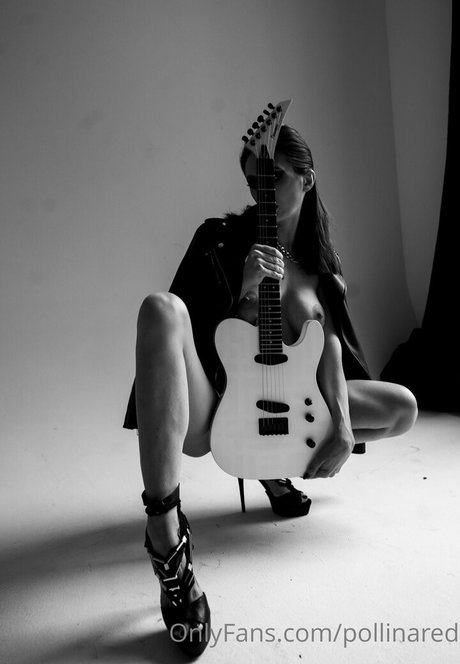 pollinared étoile magnifique images