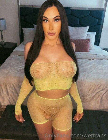 fans de tgirl uniquement sexe pornographique images