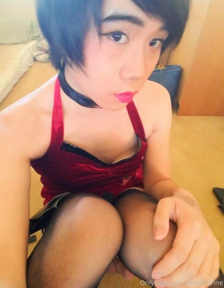 sweetcitrinefree étoile hd collection