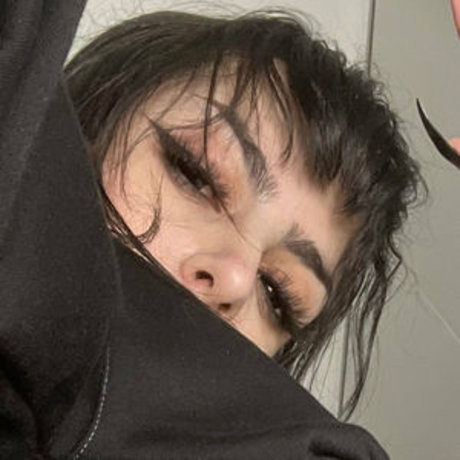 Tricksterkarkat étoile de l'art des photos