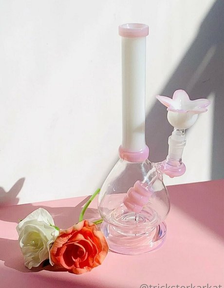 Tricksterkarkat meilleure star du porno images