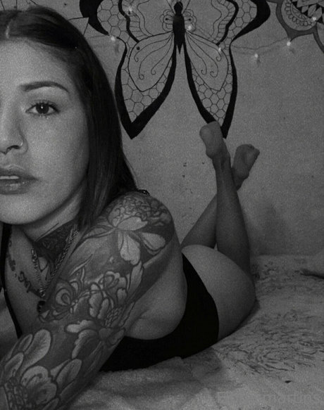 floresmartins étoile chaude images