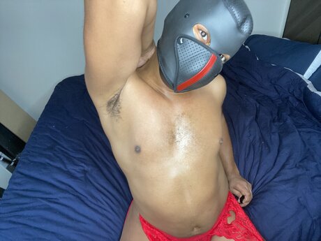 TEZ EROTICA étoile gratuite galeries