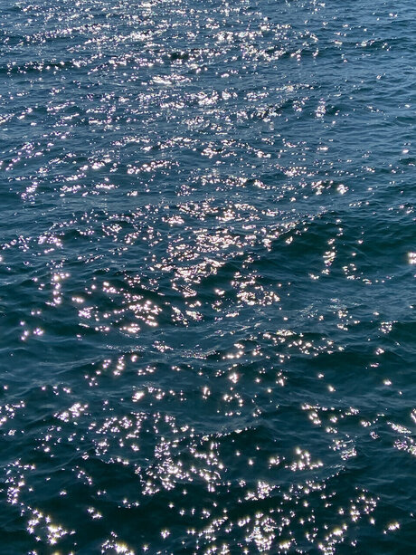 Iggyc star du porno érotique photo