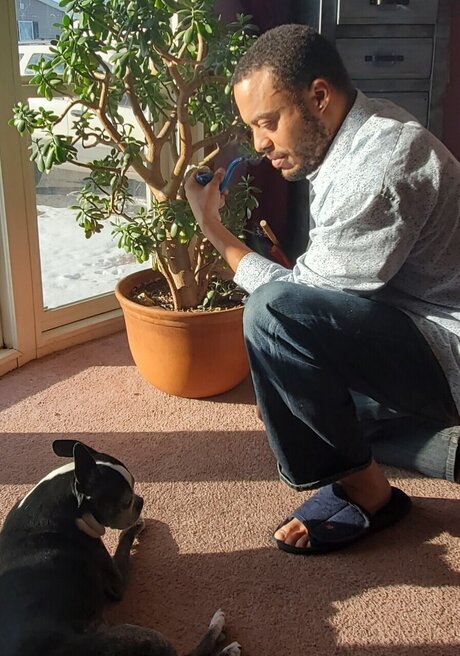 _ir star du porno exclusive collection