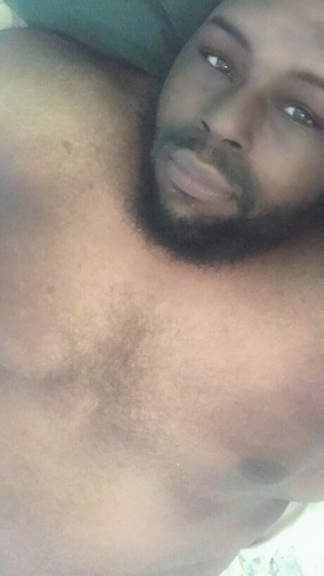 iStaySolid365 actrice érotique collection