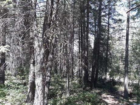 Devon Ellis étoile xxx img