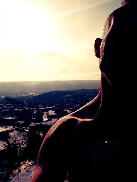 Seth Cohen étoile xxx galerie