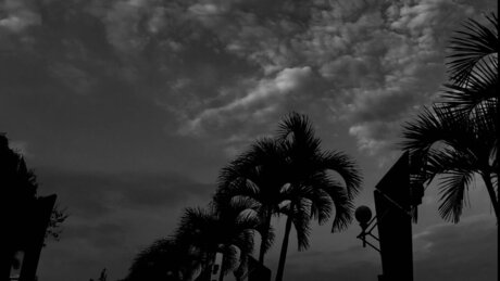 DOROTHEO modèle parfait archive