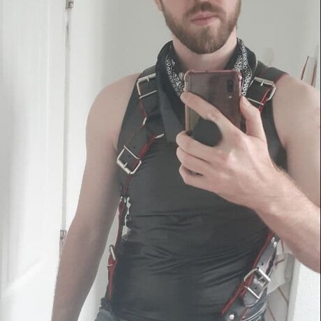 I Train Mutts meilleure étoile images