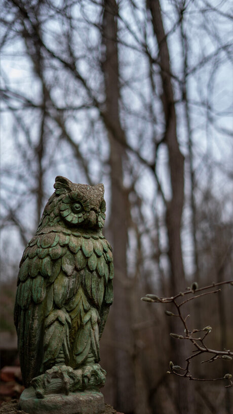 gore4gore jolie star du porno image