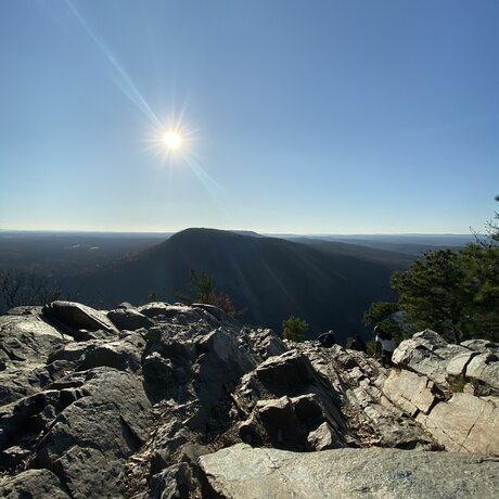 Mr Curve modèle pornographique collection