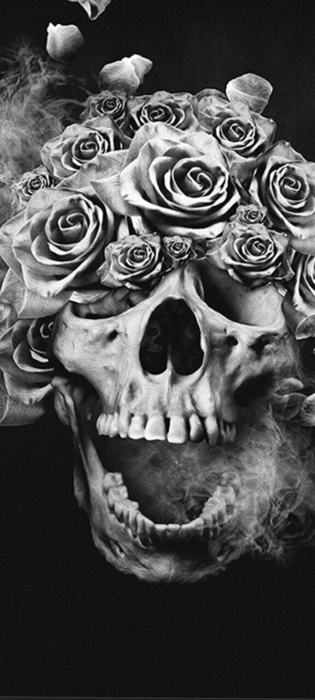 Bright Eyes actrice érotique galeries