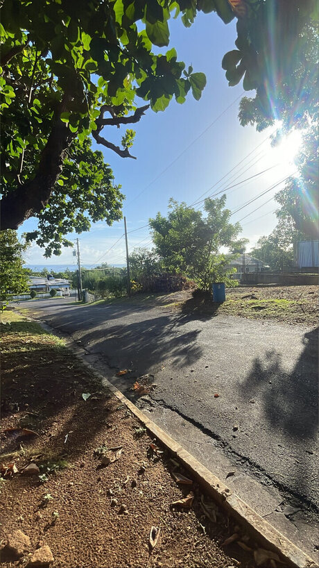 Paradise xxx étoile img