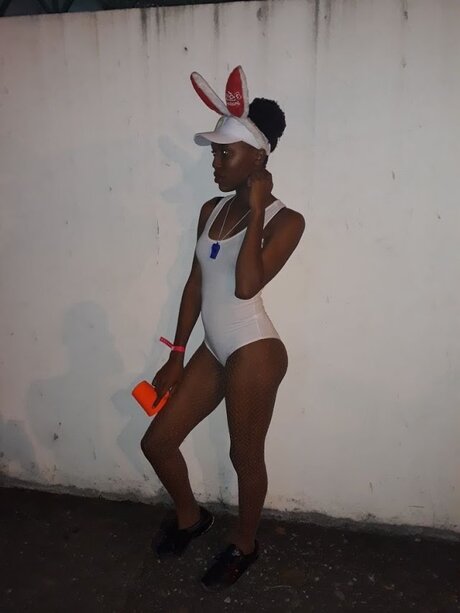 Dahlia_ étoile gratuite image