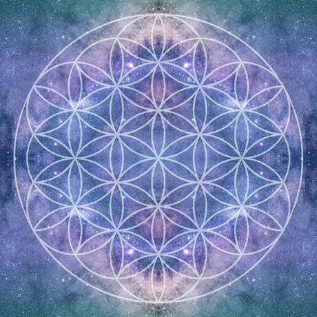 MystikP420 amp ampYogi étoile sexy img