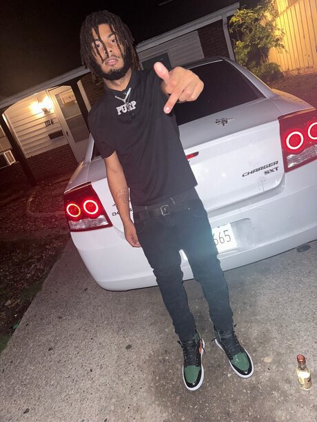 Suavepurp étoile sympa galeries