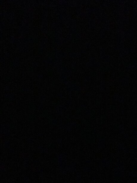 Danny Quintanilla star du porno nue image