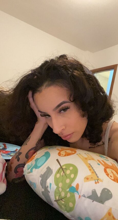 dondada étoile collection