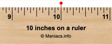 10IN PRINCE Roca jolie étoile photos