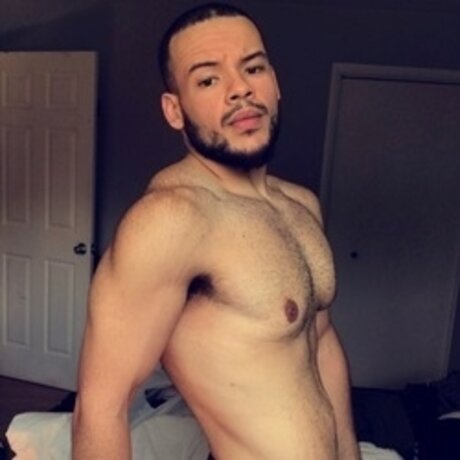 Gugu étoile adulte photo