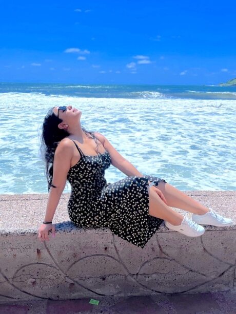 Roc o Gav star du porno en haute qualité collection