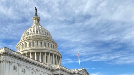 notshy 77 étoile de haute qualité images