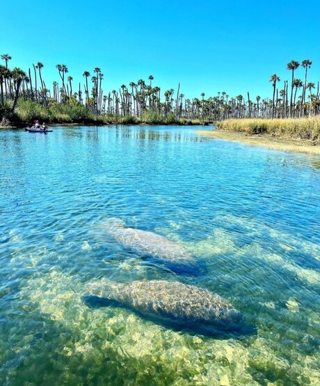 Reneeashley92 actrice porno galeries