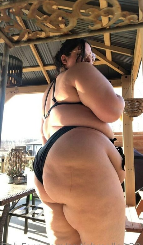 squishmellow20 modèle artistique galerie