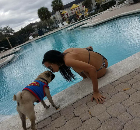 Ginnadlg modèle chaud archive