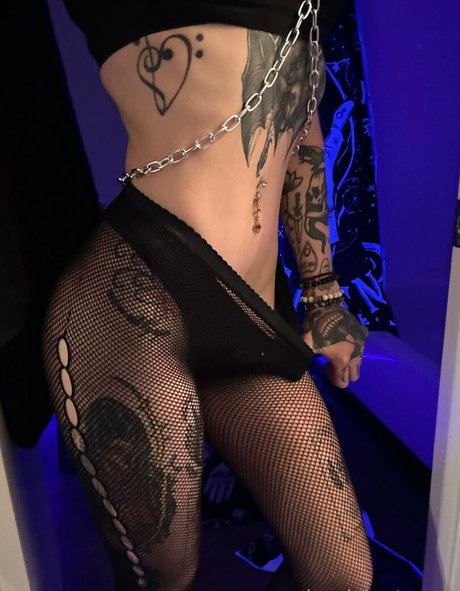 hayislost étoile de haute qualité galerie