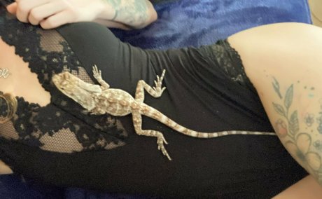 artnvenom star du porno gratuit photo