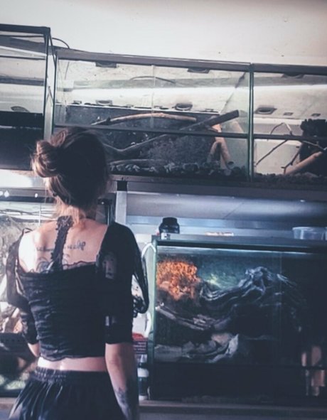 fans de cul transexuelle uniquement nu pornographique galeries