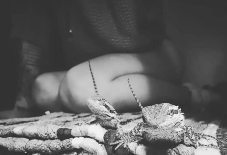 artnvenom étoile nue collection