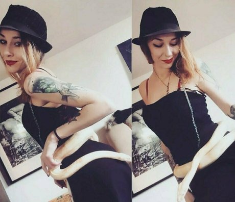 artnvenom Profilfoto