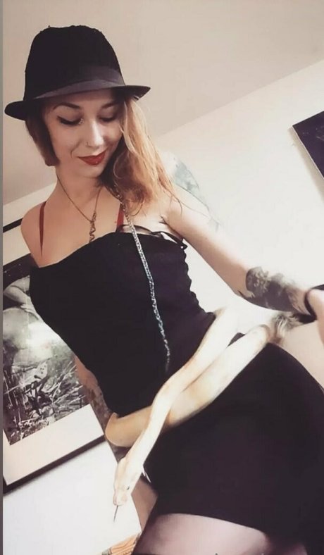 artnvenom étoile sexy img