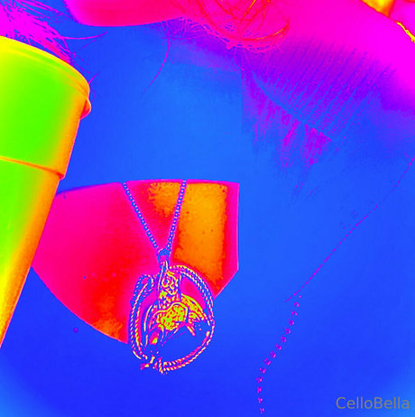 cellobella7 actrice hd galerie