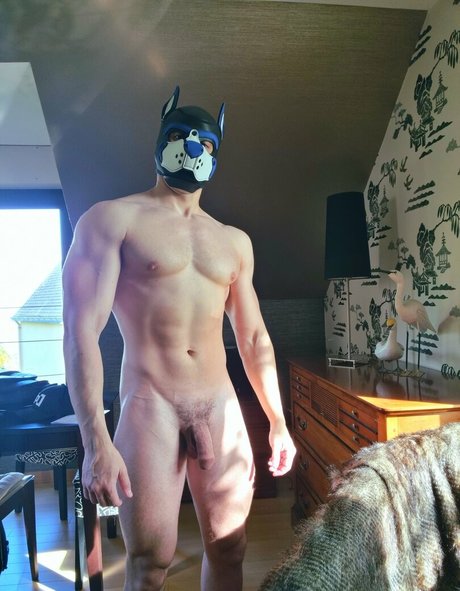 pupbuday star du porno de haute qualité des photos