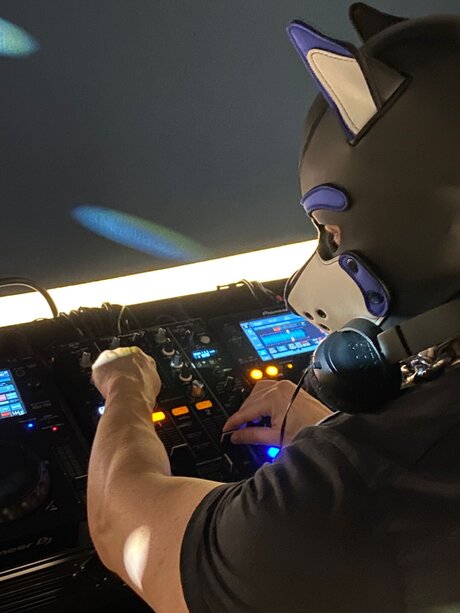 pupbuday art étoile galeries