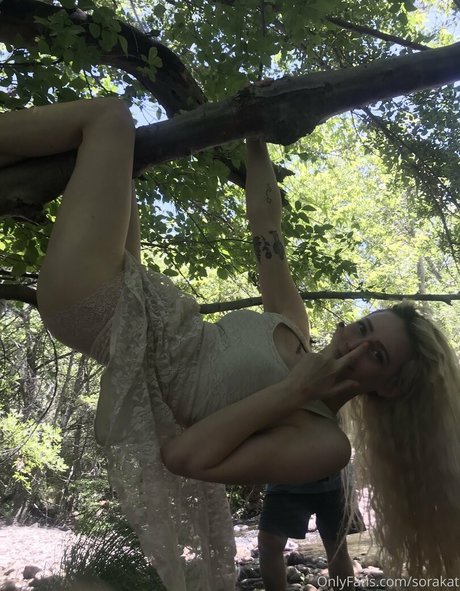 sorakat étoile de haute qualité img