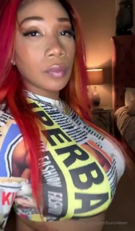 chaton potelé uniquementfans bon images