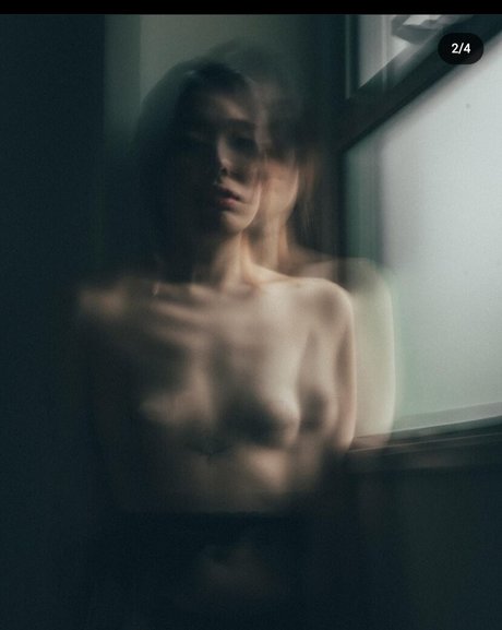 Beautaefu étoile de haute qualité photo